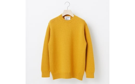 THISISASWEATER. l A1 : A SWEATER IS ORDINARY