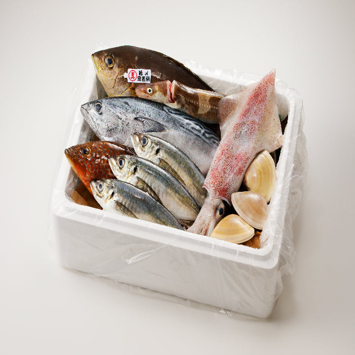 浜田の旨い鮮魚12か月毎月お届けコース