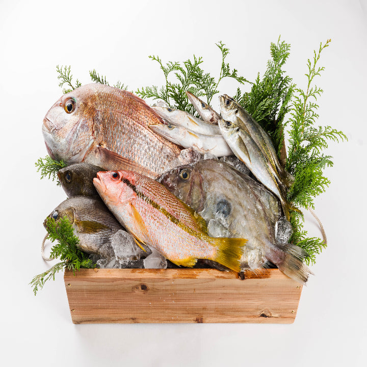 どんちっち 浜田鮮魚 2.5kg～3.5kg程度